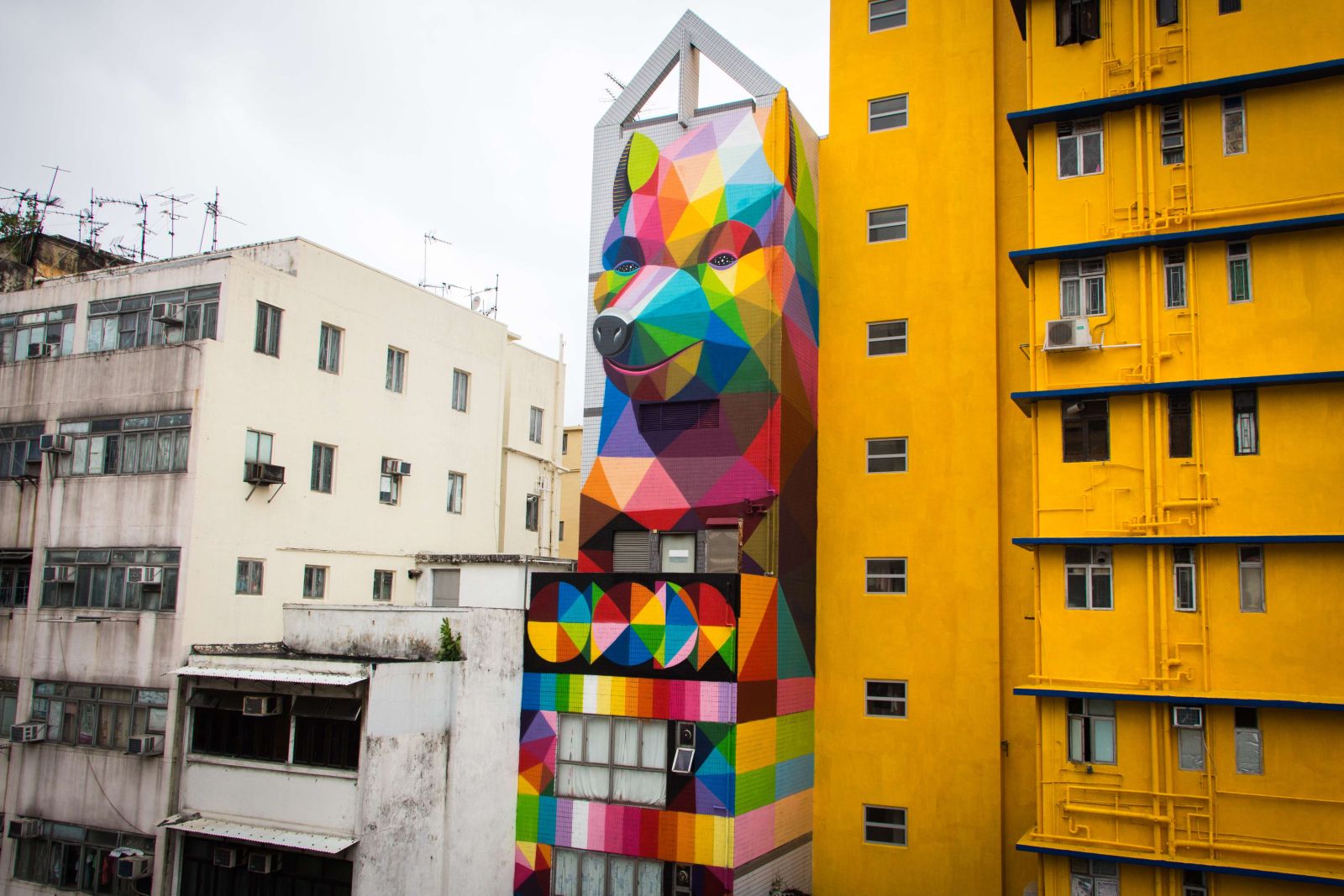 WATCH: Street artists transform one of Hong Kong's oldest neighbourhoods, Sham Shui Po | South China Morning Post