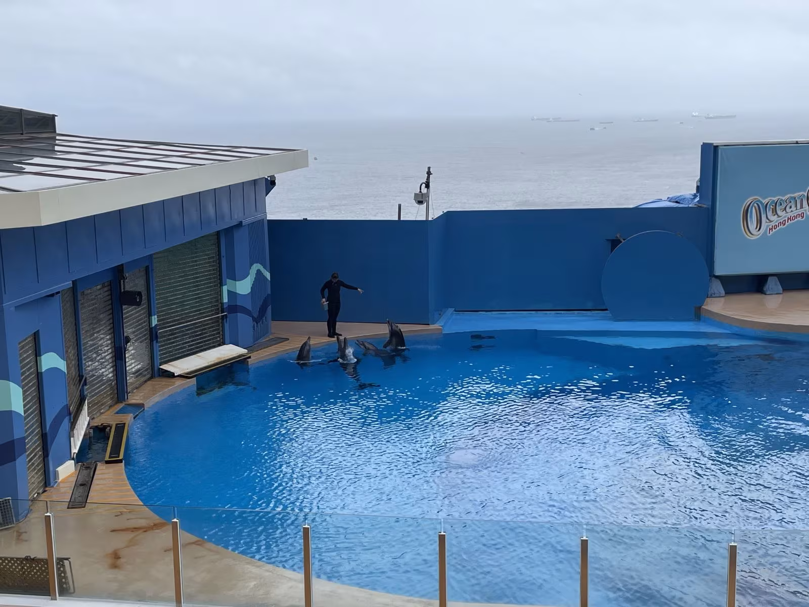 寬敞的戶外藍色表演池,適合海獅、海豚等海洋動物表演。