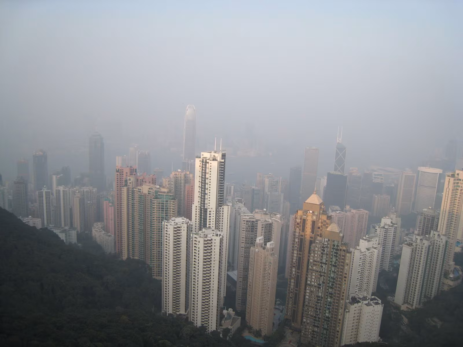 太平山頂霧中天際線